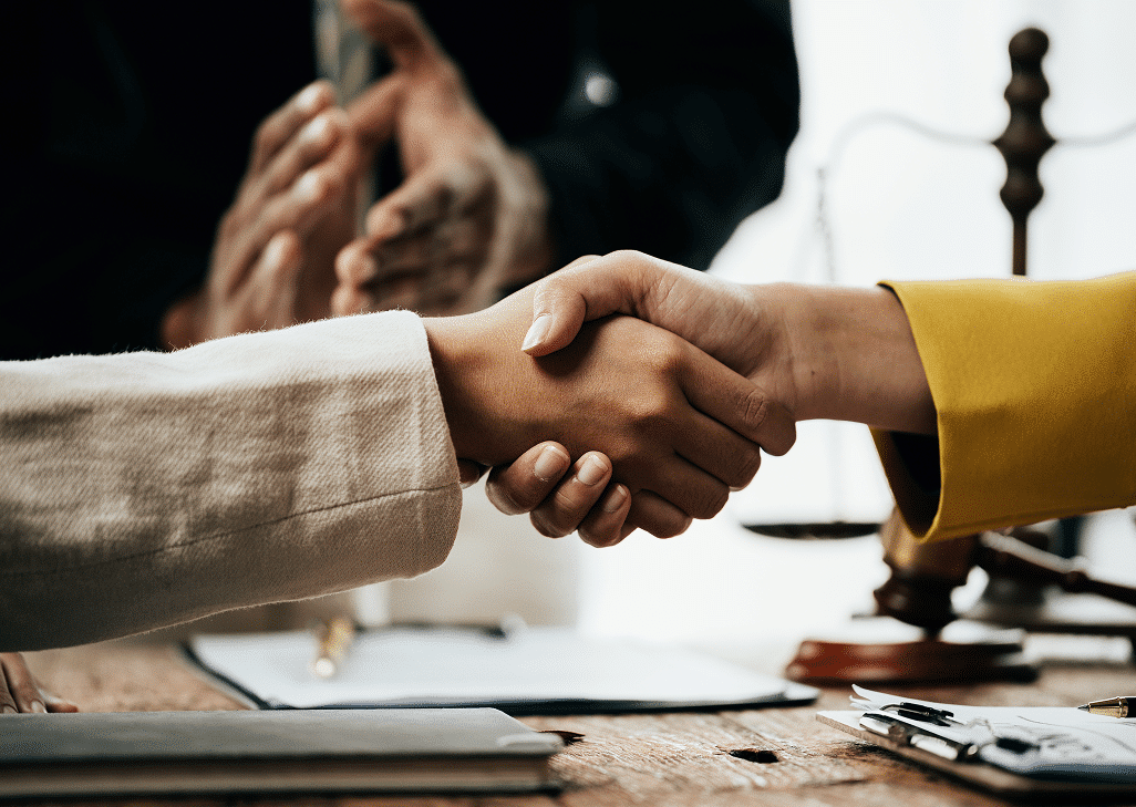 Litigation Consulting & Forensic Accounting